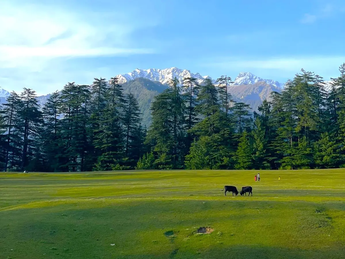 Jibhi Tirthan Valley Tour Package
