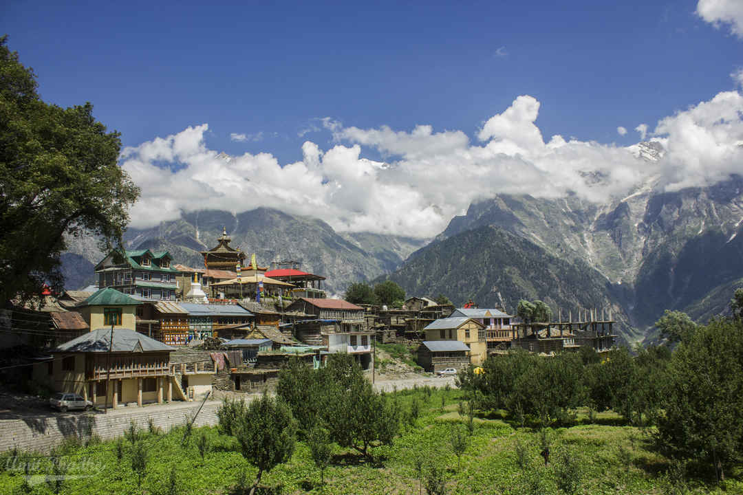 Kalpa Kinnaur Tour Package